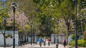 沙田公園位於沙田市中心，與城門河為鄰。公園面積約8.05公頃，由多個主題花園組成，花草品種琳瑯滿目，花開四季。 兩座中式園林 「北園」和「南園」是恬靜舒適的花園，融合中式建築及各種觀賞植物。